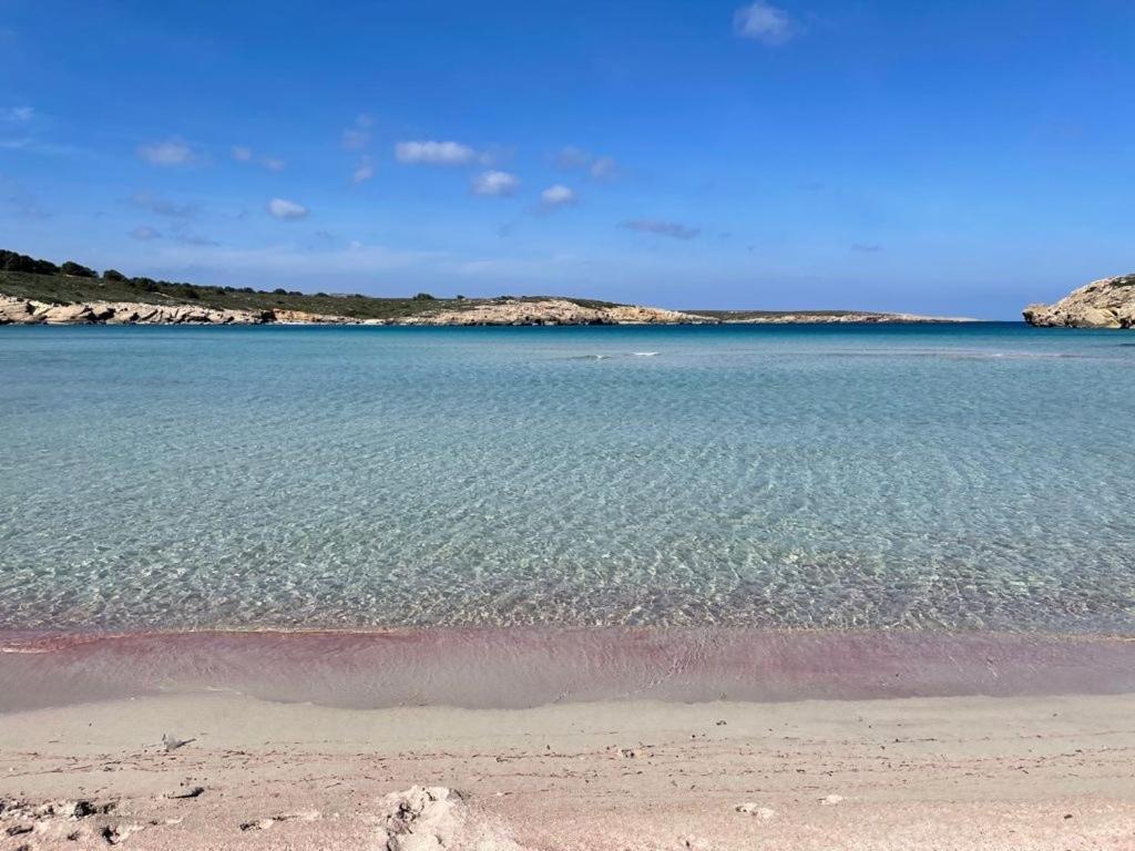Apartamento Brisa De Menorca Son Parc Esterno foto